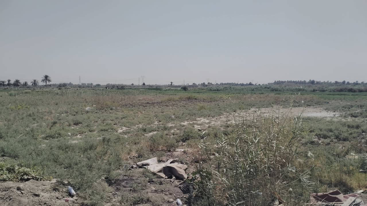 سلام عليكم شباب دار. للبيع المساحه 200م . أصلاح زراعي يتكون مطبخ وستقبال ومجمع صحيات كاكمله   وغرفتين وصاله ماكاملات ع البوكس سعر 14بيه مجال بسيط مستعجل ع البيع *********** في. مجمع المصلاوي خلف المستشفى  قريب ع  شارع الجديده ثاني شارع با المجمع
