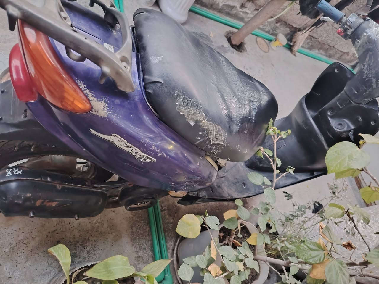 عصفورية شغاله نقصهه جوزة ابيع كوم حديد لاتدخل ودكلي شبيها ابيع كوم حديد السعر 100 قفل
بغداد الشعب ***********
