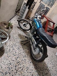 للبيع كلك ايراني ٢٦ 07831848010 واتساب حله سياحي