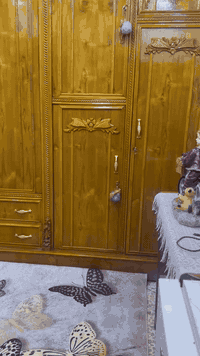 غرفه صاج • جديدة • ٦قطع