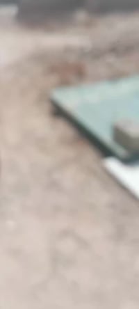 الزيتون الديوانية • ٥ دونم • سند ٢٥