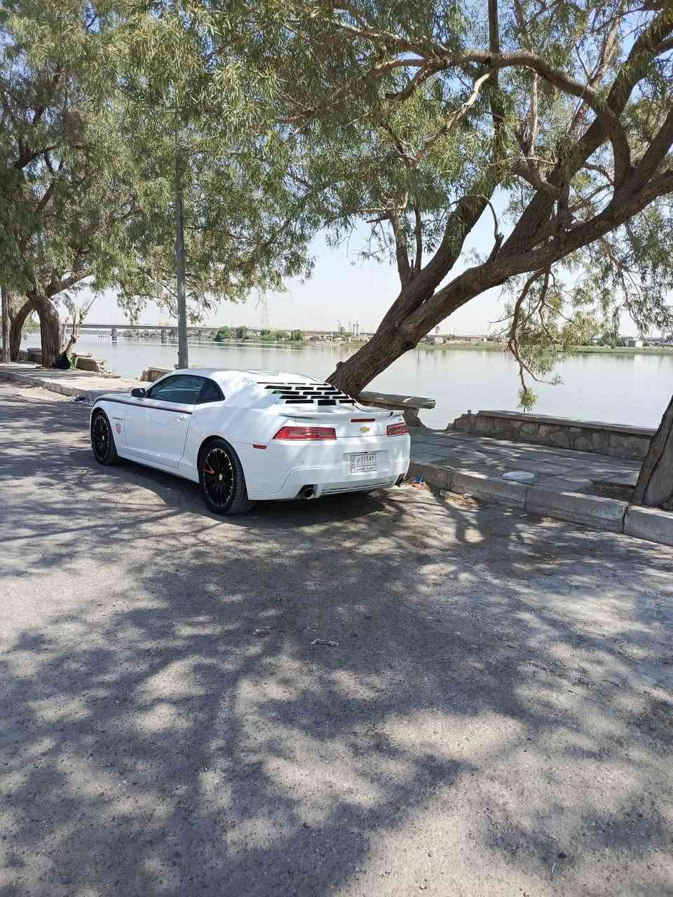 كمارو 2014
3600👉 RS
ماشيه 77 الف  حادثها مال أمريكاجاملغ خلفي عكس السايق والدوسه شويه منها 
سياره ع وضع الشركه كلش كلش جديده كتلوكاتها وياها اني مالكها الثاني 
مواصفات السياره 
1- مكينه 6سلندر 
2- لايت ليد عدسه
3- بك لايت ليد
4- حساسات خلفيه 
5- كاميرا خلفيه 
6- دفيوزر خلفي أصلي
7- كشنات جلد كهرباء 
8- تدفئه تبريد بالكشنات 
9- شاشه كبيره 
10 - تشغيل عن بعد 
11- كروس سعره
12- شفتات كير 
13- تخم تاير جديد 
14- تاير خلفي 315
15- تاير امامي 245
16- حجم الويل 20 مال كورفيت
17- تبريد تدفئه 
18 - حداده نضيفه 
سياره برغي واحد ما فاتح بيها كلش كلش جديده 
بيع او مراوس حسب القناعه 
سعر 115 وبيها مجال 
رقم بصره 
مكاني بصره معقل
***********
