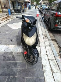 سكنس فحل للبيع  ٠٧٧٣٤٤٢٤٣٧٤