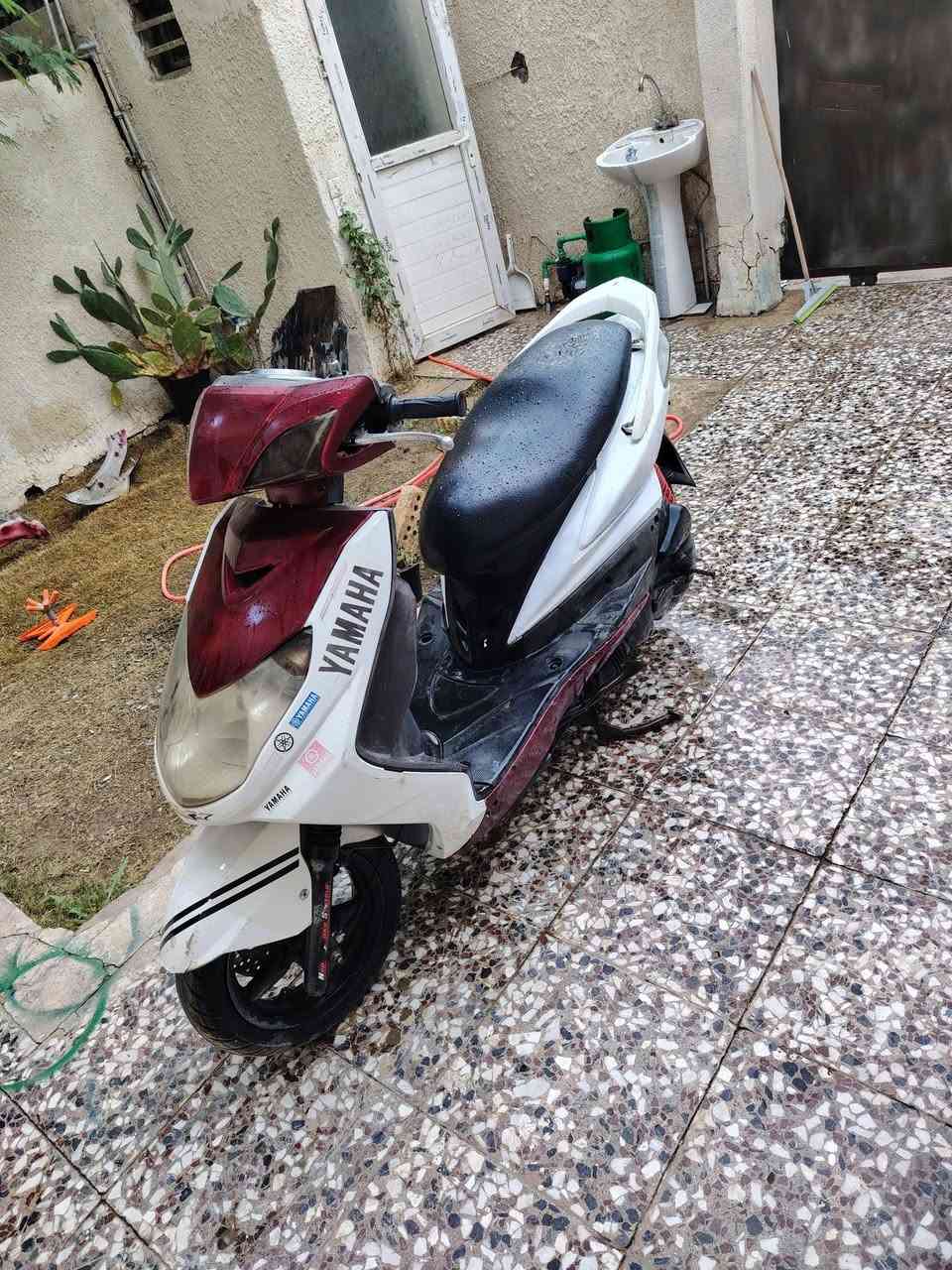 سلام عليكم سكنس فحل البيع مكان مسيب حي ال مصطفى دراجه كله كامله مجرد كفرات شويه تعبانه سعر 475 بيه مجال حك جيه ***********
