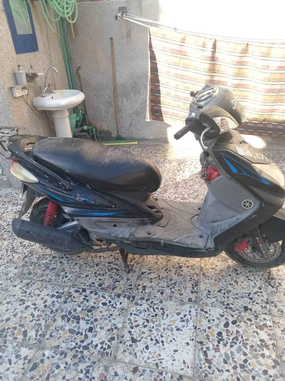 سكنس فحل للبيع الشعب قرب فلكت صباح الخياط
***********
