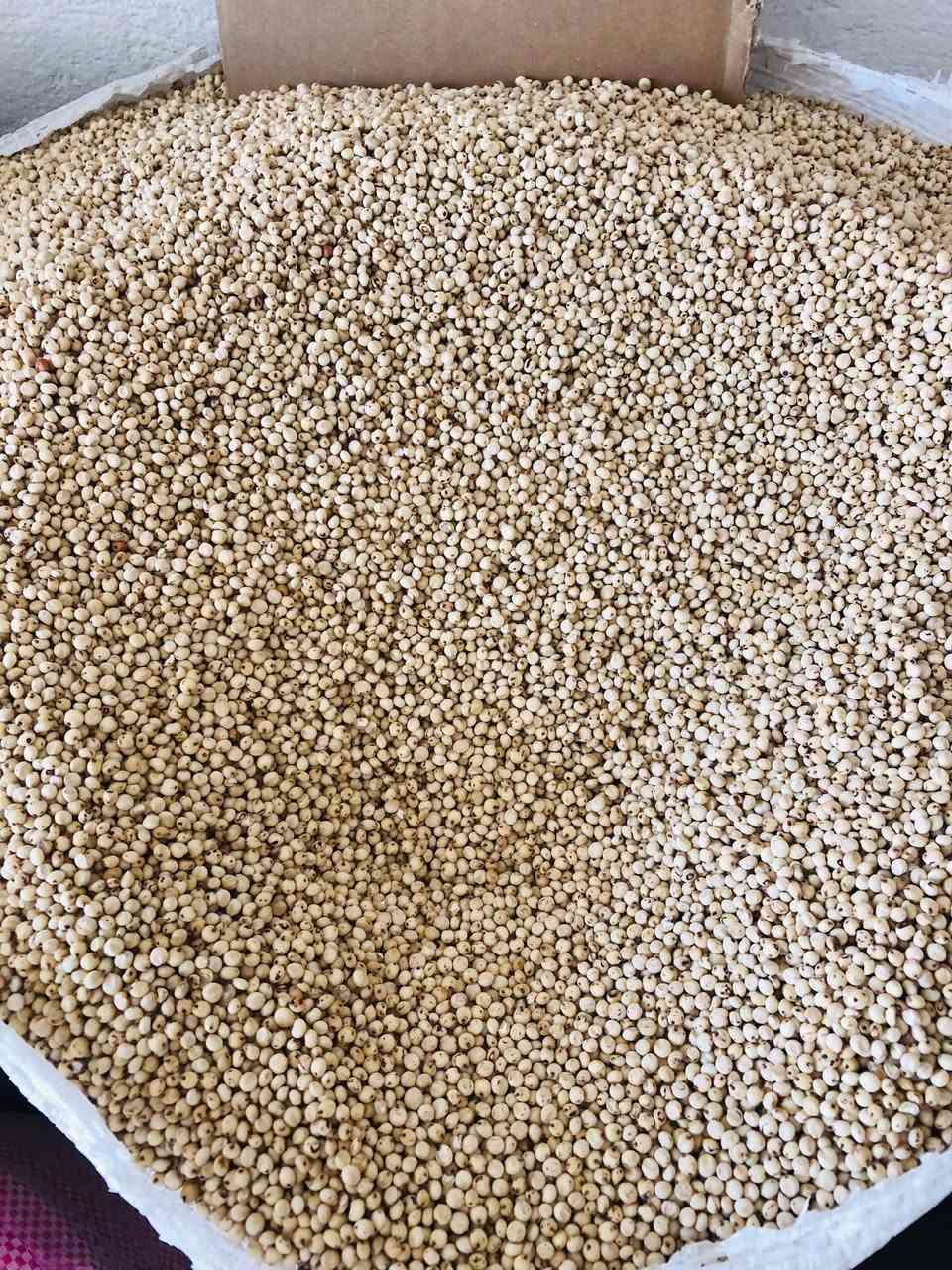 توفر جميع انوع اعلاف الطيور ( الزينه )
1. اكل كوكتيل وغندوره 

2.سرلاك بلابل افراخ(علي الصياد 

3.خلطة بلابل علي الصياد (سوبر ديلوكس)

4.اكل كناري ( بلجيكي )

5.دود قبابي طري خاص ب (البلابل)

6 دخن جميع الانواع

العنوان عفك شارع المحيط قرب مدرسة النبراس 

الرقم ***********
