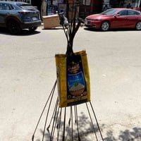 فتح مجاري • اسطى اياد • ليلا ونهارا