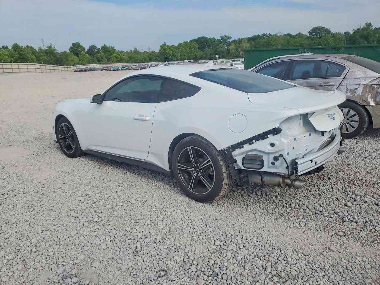 2025 FORD MUSTANG

شحن مباشر الى اربيل عن طريق مرسين تركيا 
شحن مباشر الى العراق عن طريق الحرة الاردن 
*********** :📞 
*********** :📞
السعر :  حسب المزاد  
تاريخ المزاد :  6/8
الضرر : حسب الصور المرفقة 
بيع وشراء كتب شهداء 
شراء سيارات تحت الموديل لمن لديه كتاب ضباط 
لو كتاب دبلوماسي 
بالامكان ادخالها بكتاب ذوي الشهداء باعفاء كمركي مع اعفاء الرقم 

🔺نتكفل بالسيارة لحين وصولها 
🔺اي استفسار مراجعة المكتب 
🔺 اوقات العمل كل ايام الاسبوع من الساعة ال 5 عصراً ماعد يوم السبت و الاحد عطلة المزاد
🔺 عملنا شراء السيارات من المزادات الامريكية والكندية
🔺لدينا تقرير Carfax مجاني لفحص السيارة قبل دخولها المزاد 
🔺 نشحن من جميع الموانئ الامريكية والكندية وبأسعار شحن تنافسية 
🔺نشحن الى دبي و عمان و البصرة و كردستان و تركيا  
🔺لدينا ورشة تصليح في دبي 
🔺لدينا معقب لتخليص السيارات (حرة او معوقين او ذوي الشهداء ) و ايصالها الى الزبائن
📍العنوان : موصل حي الوحدة مقابل معهد صناع الامل 
🔺اوقات الدوام من 4 عصراً وحتى ال11 ليلاً كافة ايام الاسبوع 
☎️ للاستفسار الاتصال على الرقم
م.علاء ابو فهد 
 
*********** :📞 
*********** :📞 ￼
