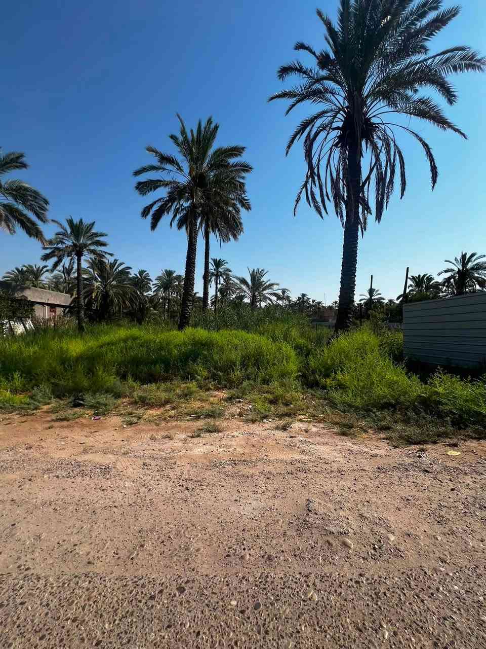 السلام عليكم للبيع دونم ملك سند ٢٥ واجه ٢٥ متر نزال ١٠٠ متر شارع تبليط ماء اساله و كهرباء العنوان الطارميه الشيخ حمد نزلة خليل المطلك تبعد عن الشارع ٨٠٠ متر
***********
***********
