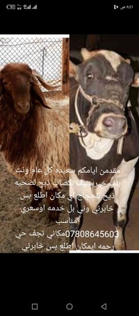 ذبح • خدمة متنقلة • نجف