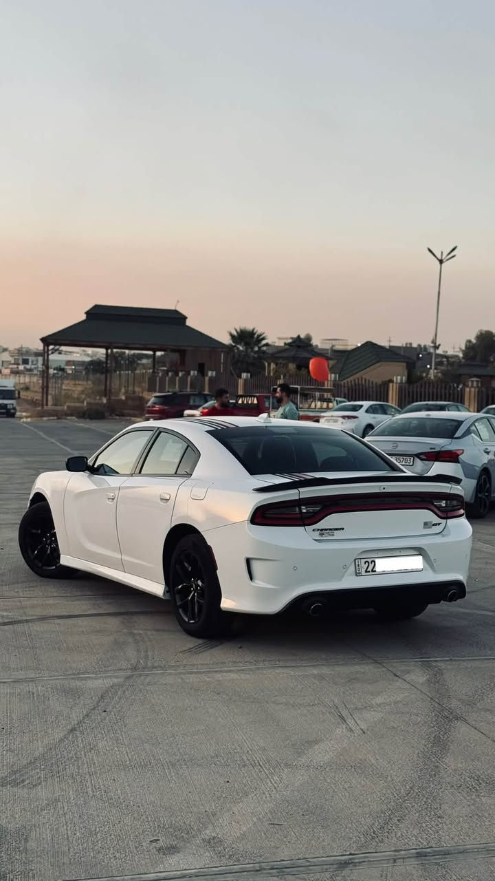 دوج جارجر 2020 GT

وارد كندي
ماشيه 94000
محرك 3.6 (V6)

مواصفات GT معروفه ..

شاشه تحكم لمس بلوتوث ابل كار بلي 
كامره ووحساسات خلفيه
شفتات وتحكات ستيرن 
مثبت سرعه
سماعات Alpan
قطعتين تبريد مركزي
كشن امامي مخمل كهربائي

ضرر سيارة … بيها صبغ بوند امريكا وجاملغ سايق وشويه من باب سايق وبيها مكان واحد تعديل بارد اثر شخط باب خلف سكن وبيها ملاحظات بعد اثر طخات 

سيارة جاهزه ومابيها دينار مصرف عليها طخم تايرات جديد وحداديه كير ومحرك وكهربائيات بشررط مكان سيارة كركوك تريد وكاله تريد تحويل 

⚪️ *********** ⚪️
