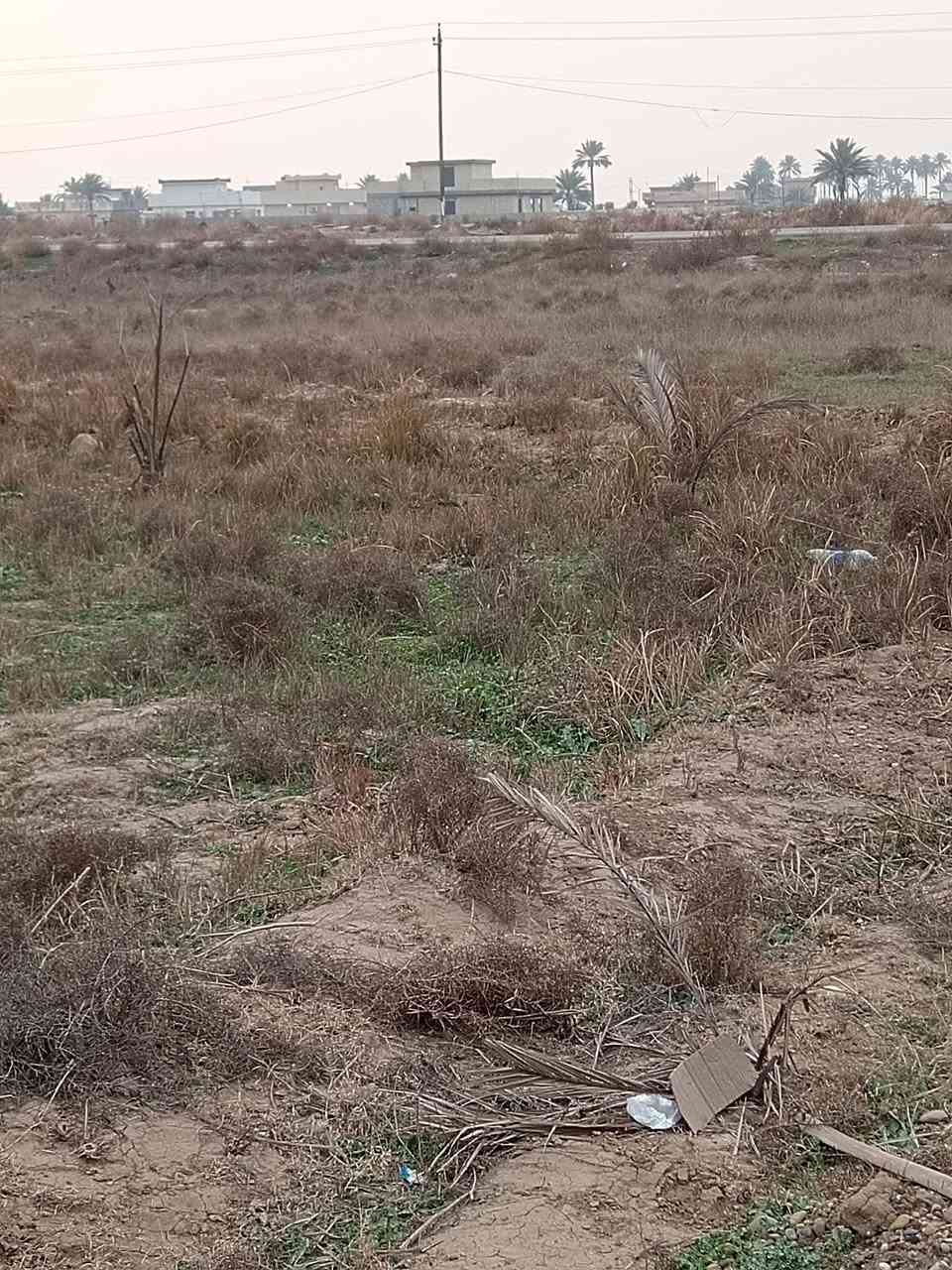 سلام عليكم
متوفر دونم ملك صرف وليس زراعي داخل ابو غريب الشيحه
ومتوفر أيضا دوانم طابو سند ٢٥ ابو غريب
تبعد عن سريع ابو غريب ١٠ دقايق
باسعار مناسبه


**إذا كنت صاحب هذا الإعلان وتريد حذفه لأي سبب، رجاءا أرسل رسالة إلى الدعم الفني**