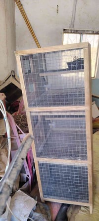خانات مال داية