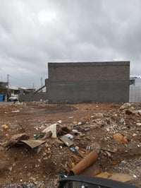 رانية السليمانية • ١٠٠م • باغ