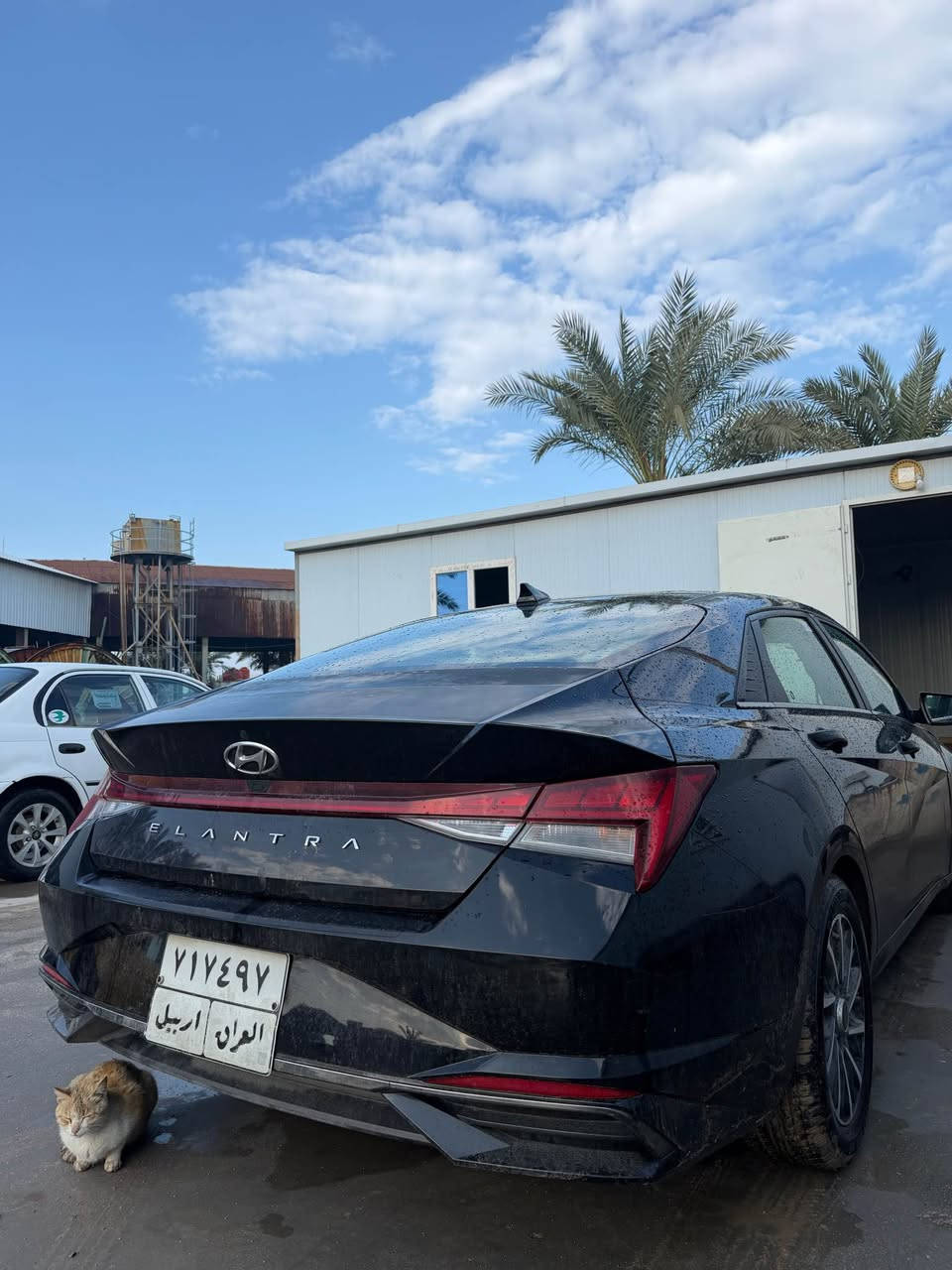 النترا للبيع موديل 21  محرك 2000  فل  مواصفات دوش ما مفتوح رقم أربيل سنوية لل٢٧ السياره حادثها جاملغ مبدل تجاري وصبغ نص البنيد فقط بس ابيعلك قطعتين صبغ بدون ايرباك بدون دواخل لا شواصي ولا لغد السياره جديدة كلش ماشيه تقريبا 65ميل 
:- ***********
‏🔸شاشة 
‏🔸بصمة تشغيل  
‏🔸بصمة أبواب 
‏🔸بصمة صندوق  
‏🔸تشغيل عن بعد 
‏🔸رادار امامي رادار خلفي وجانبي 
‏🔸مانع تصادم بريك ذكي  
‏🔸مدخلين شحن واوكس وشحن لاسلكي
‏🔸كاميرا خلفية دوارة 
‏🔸مانع تصادم 💥  
‏🔸حساسات اطارات  
‏🔸مثبت سرعه Cross 
‏🔸اضوية اماميه LED زنون  
‏🔸نضام ترحيب عند الاقتراب  
‏🔸مانع انزلاق    
‏🔸دخول ذكي  
‏🔸نظام قيادة ذاتية  
‏🔸نظام GPS + خرائط  
‏🔸3 أنظمة قيادة (eco,Nor, sport)  
‏🔸شاشة اعطال الكترونية  
‏🔸زر عرض الكاميرا 
‏🔸منفذ شحن 
‏🔸تحكم ستيرن
السعر 145 وبيها مجال للطيبين
*********** البصرة, العراق
