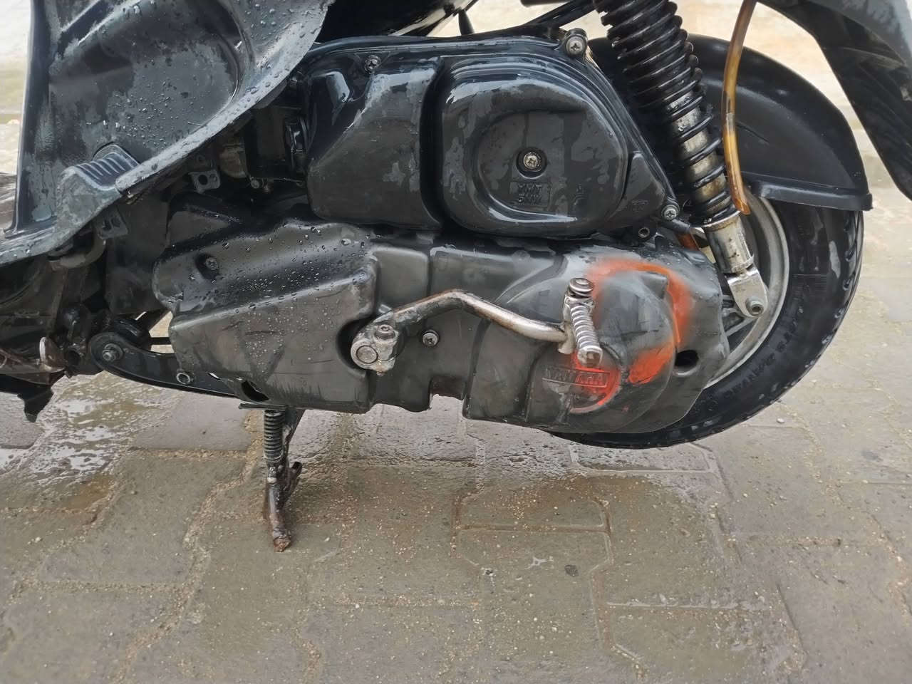 فراشه فحل لبيع عيزه بس عداد شغله سلف هندر مكينه ناعمه  مكان نجف جمعيه سعره 300 وبيه مجال قليل ***********
