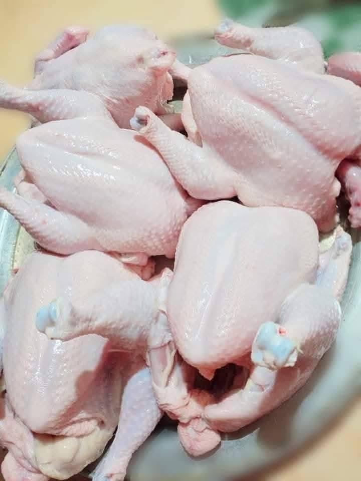 متوفر اليوم هذا العرض
5 دجاجات كبار وزن كيلوين السعر 33 الف 
للحجز *********** بي واتساب 
او مراسلة الصفحه 
تتوفر خدمة التوصيل داخل النجف والكوفه اقضيه ونواحي 
العنوان النجف الأشرف بداية ملحق الروان مقابل حلويات المنار
