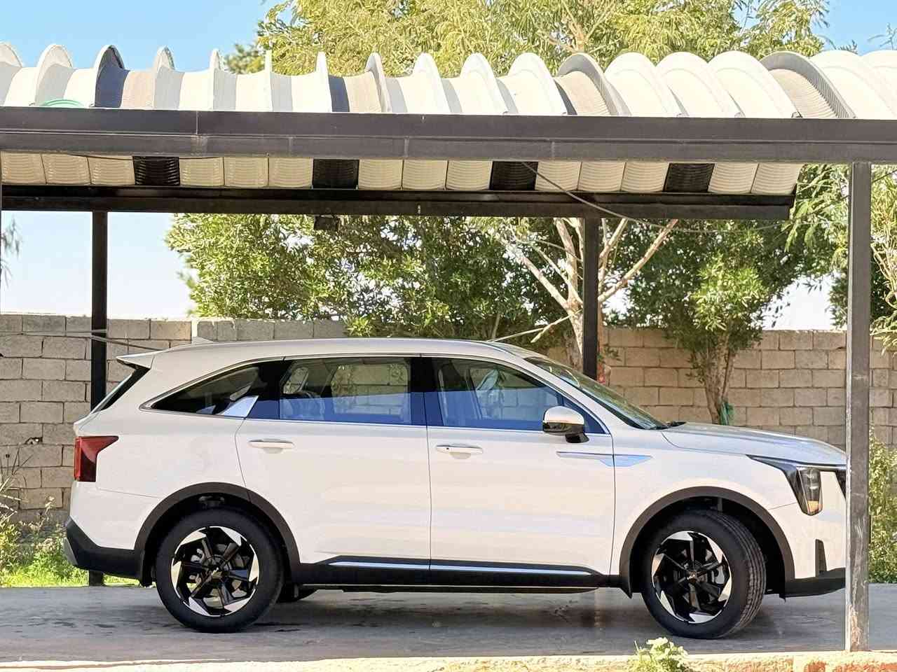 اللبيع سورتنو 24فول موصفات محرك 4سلندر سيارة مكفولة عام عل وضع شركه ويل 19تبريد 3قطع 7راكب جنطه كهربائي كشنات كهربائي ماشيه 27الف رقم بغداد بسمي تريد تحويل مباشر بسمك مشروع وطني السعر 268وبيه مجال بسيط عنوان واسط النعمانيه رقم لهاتف ***********ملاحضا سياره مدوشمه عام
