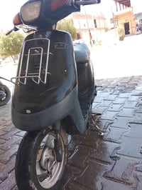 بطة • شاصي نضيف • شلعه تخبل