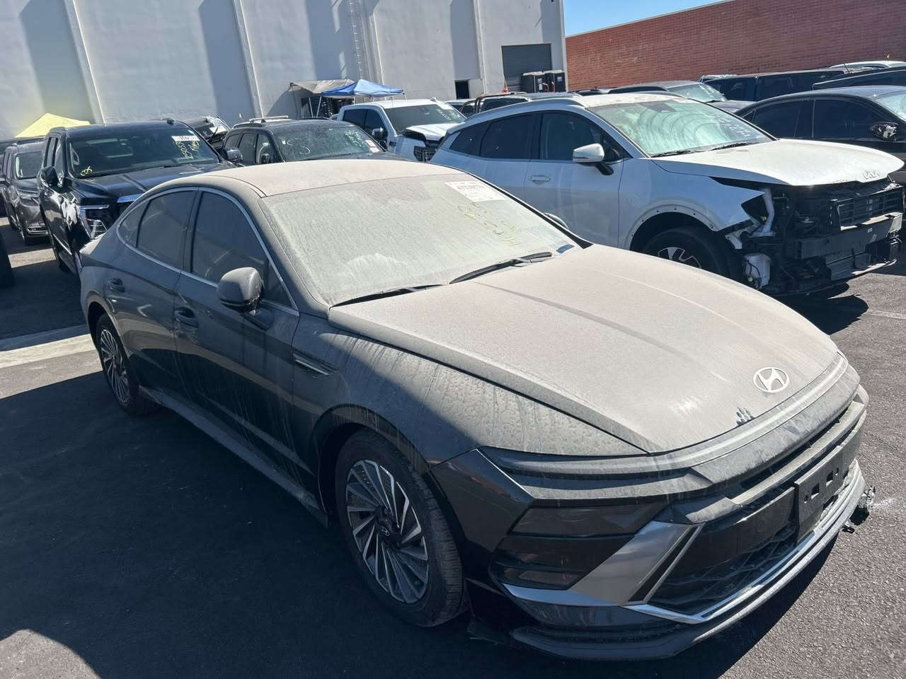 شـــــــــــــــــــركة مـــايباخ 
بأدارة علي عباس الخُزاعي 
وجهتك الأولى لأستيراد وتصدير السيارات

هيونداي سوناتا موديل 2025
هايبرد حاليا بالبصره 
السعر داخل الميناء بدون تصليح ب155 قفل بدون كمرك

الديوانية . حي الجزائر . شارع البستان
📞 *********** 
📞 ***********
