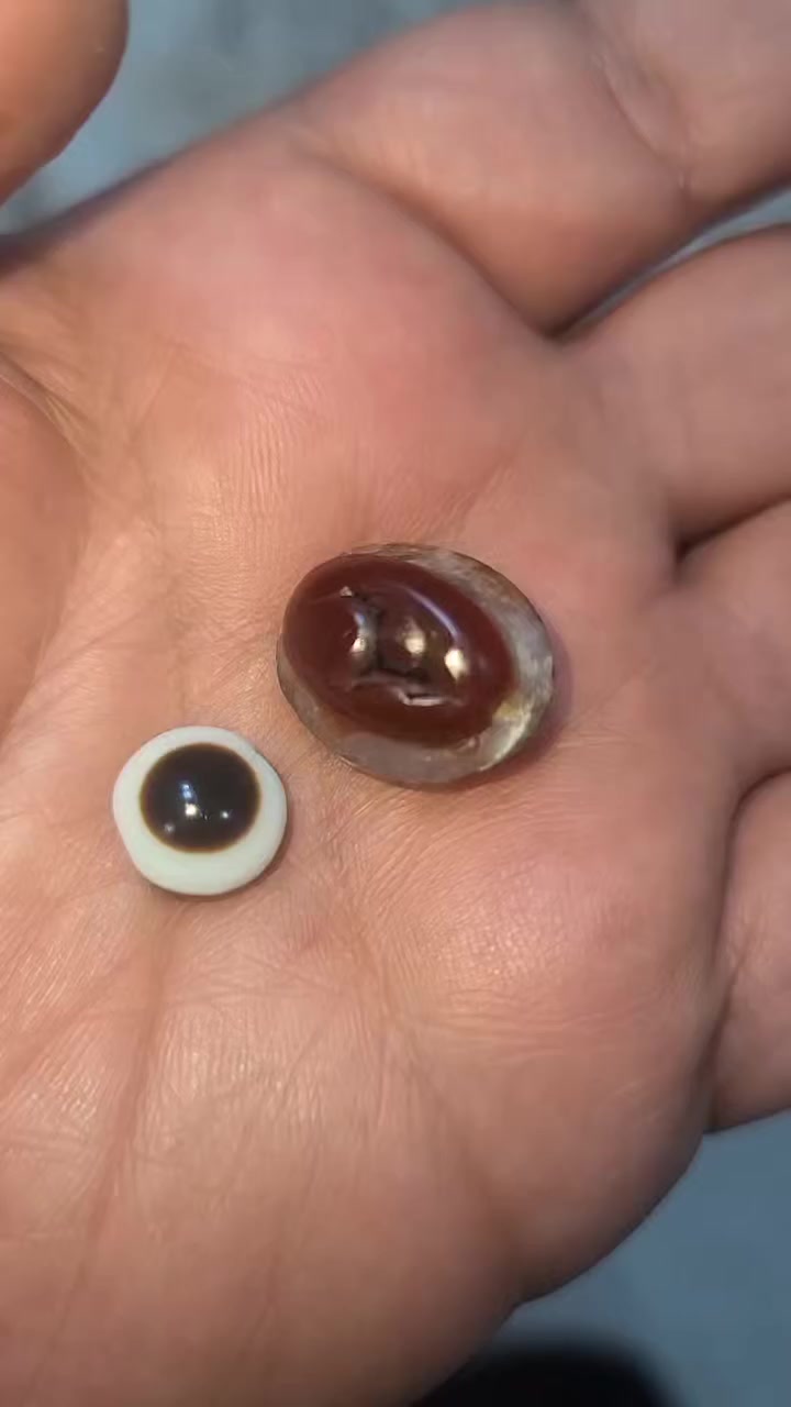 جزعه وركائيه مختلفه وجزعه عين صريحه من النوادر هذا المال تواصل على الرقم 
***********
