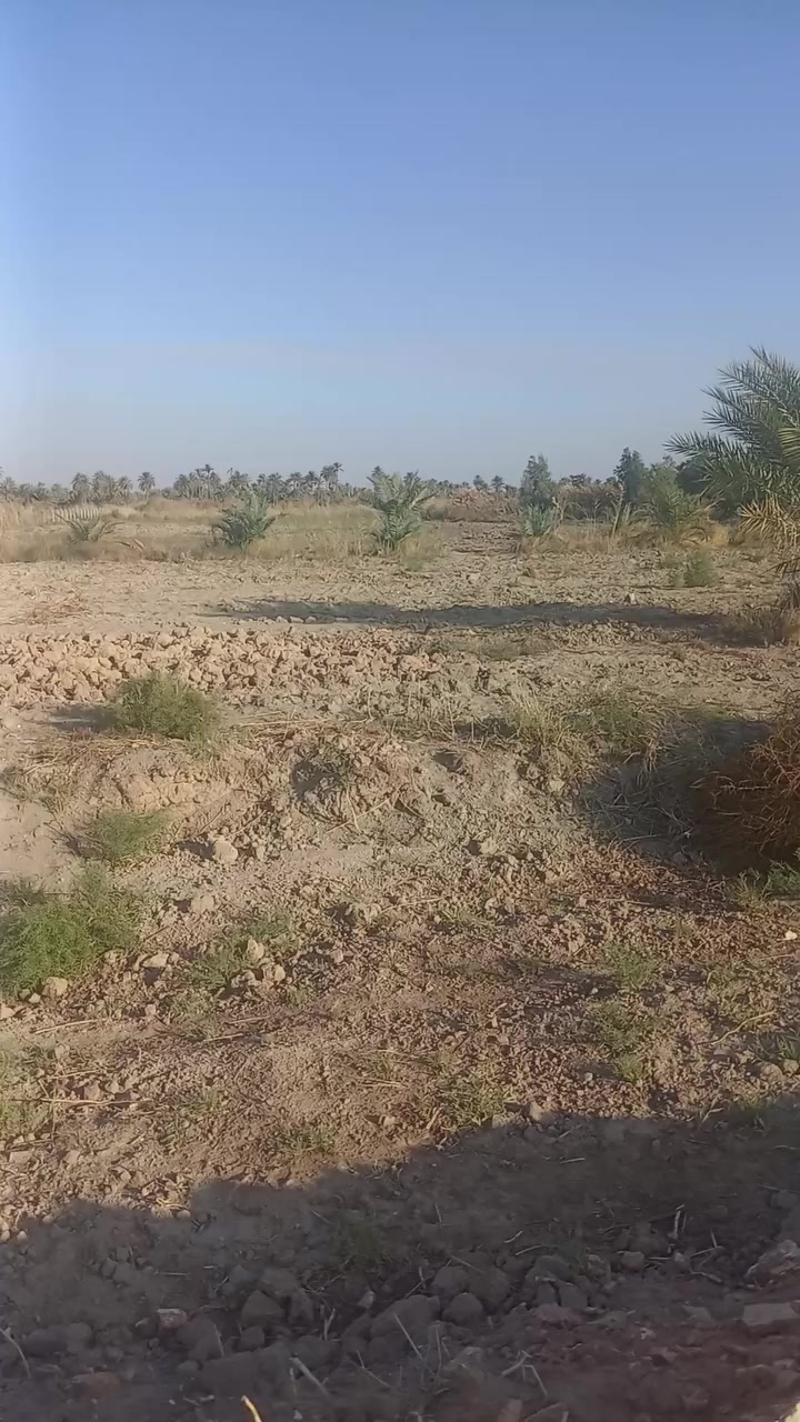 السلام عليكم بسم الله الرحمن الرحيم توجد لدينا أرض للبيع المساحة 7دوانم الجنس أصلاح زراعي أرض جدا جميله وتصلح ألى المستثمرين تصلح حقول أبقار وتصلح بحيرات اسماك وتصلح حقول دجاج وتصلح نخيل البرحي ألارض مباشر على الشط ٨٠متر واجهيه كلها على الشط متوفره كافة الخدمات مأء اساله وكهرباء وشارع ١٠متر سبيس قيد الانشاء الموقع بابل الحمزه الغربي خيكان قرب الدولي الجديد للاستفسار الاتصال على الرقم التالي
*********** او مراسلة الصفحه خاص
***********
