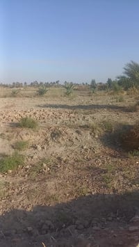 بابل الحمزه الغربي • ٧دونم • واجهة شط ٨٠م