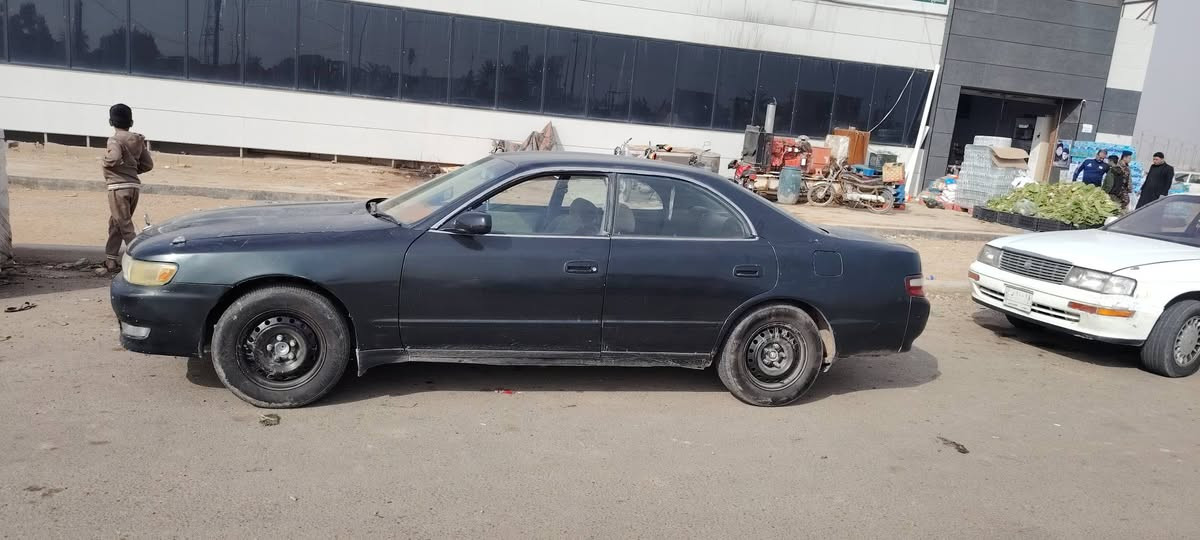 سلام عليكم البيع شيزر كفاله من الكص ونقل الجثه رقم بصره انكليزي سنويه ٣٠ تحويل مباشر مكاني ميسان سعر ٤٠ وبيه مجال ***********
