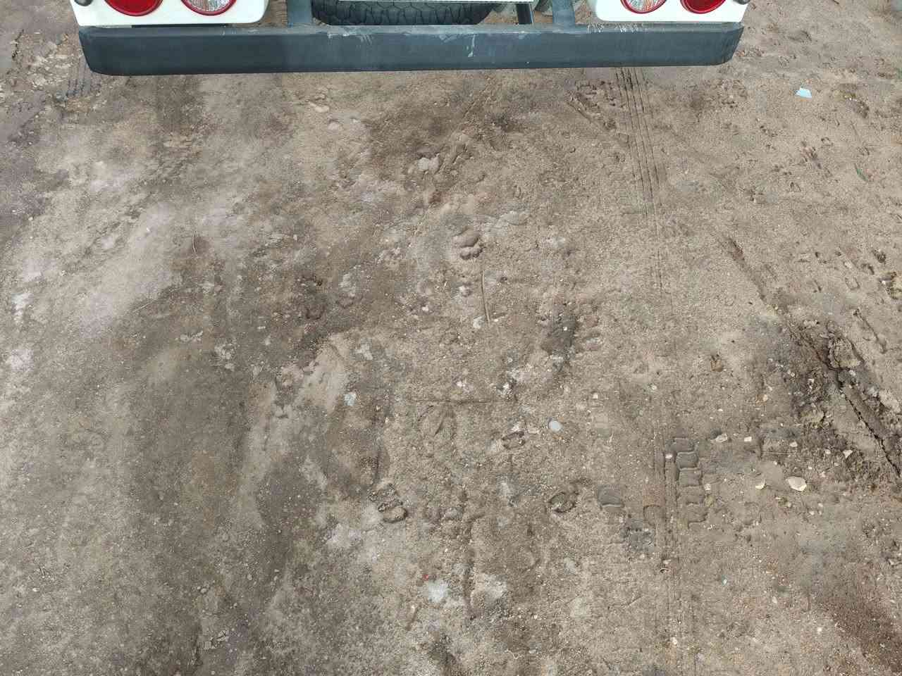 سلام عليكم دعاميه للبيع دسكام درجه اولى  جنره ام ال6 مليم العنوان نجف رقم ***********8
