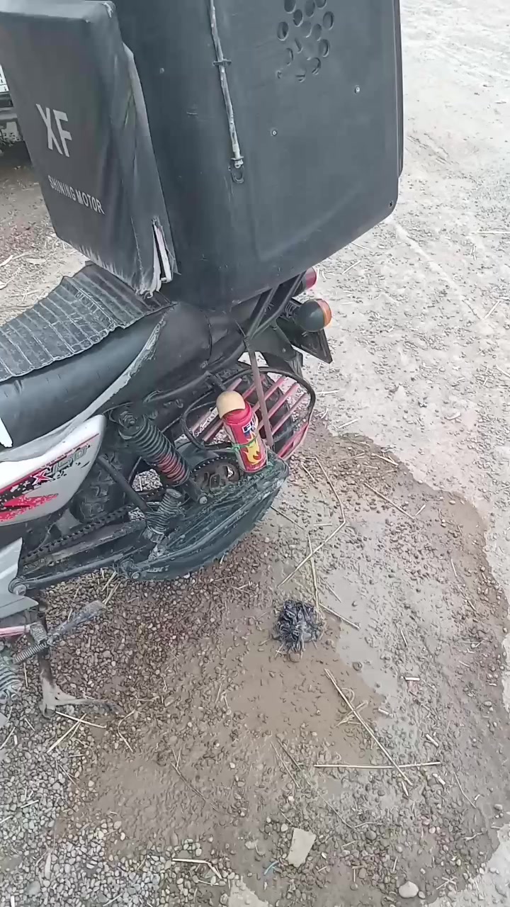 بوكسر للبيع ب واحد وسبعمية وبيهة مجال ***********واتساب فقط
