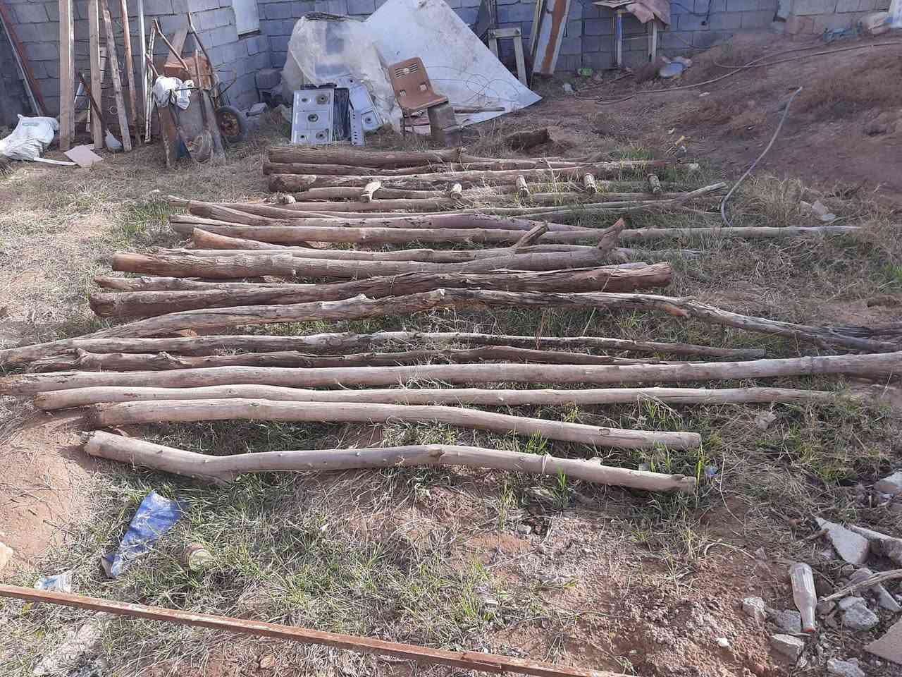 المكان ديالى بعقوبه بهرز / خشب العدد 23 وحده (( سعرهن 50 ألف))
🔷العنوان: بهرز، بداية الدواسر، قرب المختار نوري، للمعاملة والإستفسار راسلونا على هذي الصفحة على الخاص، أو الاتصال على هذا الرقم ***********
