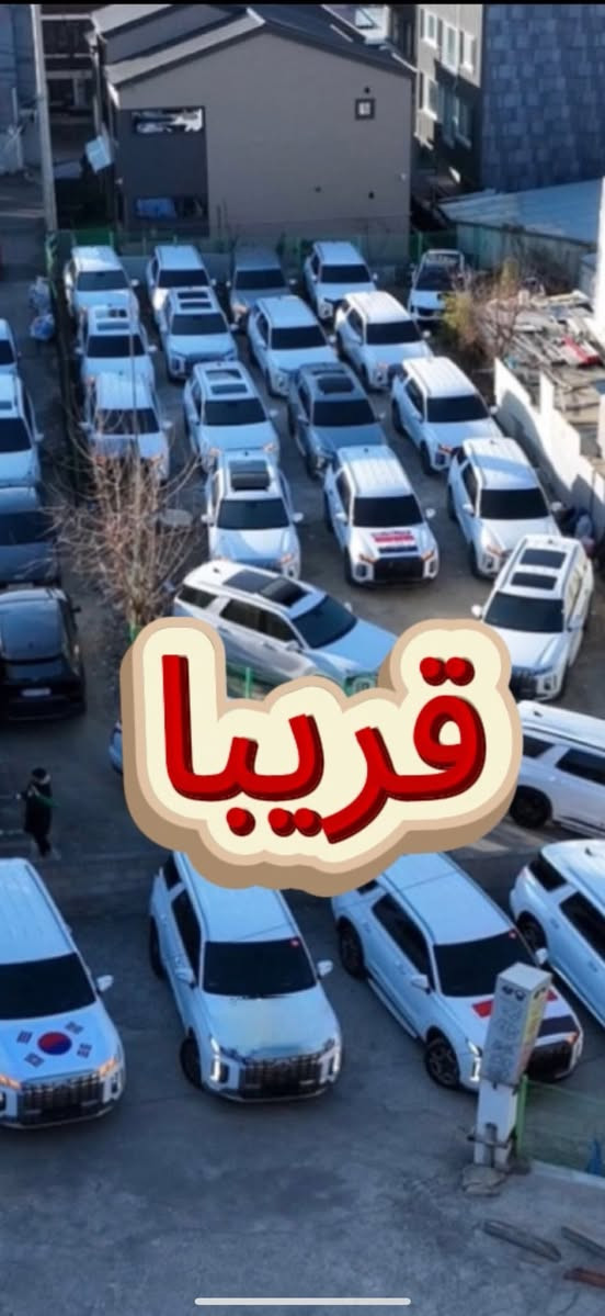 مدة الوصول 5 ايام ✅


**إذا كنت صاحب هذا الإعلان وتريد حذفه لأي سبب، رجاءا أرسل رسالة إلى الدعم الفني**