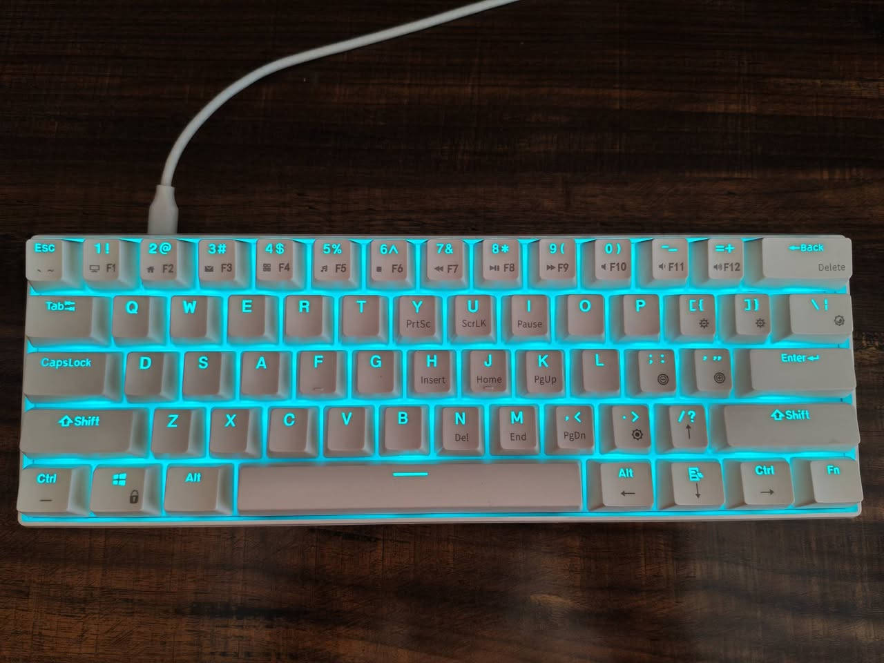سلام عليكم
كيبورد ميكانيكي RK61 غير مستخدم سويج احمر قابل للتغيير
ل rgb ماتة بي 43 نمط و 30 لون تكدر تنصي الاضائة وتعليها هم
قيم سعرة لان ماعرف بيش ينباع
مكاني بغداد الشعب
***********
