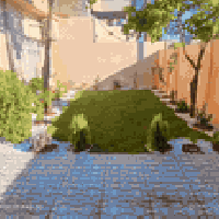 تنسيق حدائق • منظومات ري • كركوك