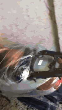 سلام عليكم دراجه عصفوريه لون رصاصي الدراجه كفاله عامه برغي واحد ما مفتوح كهربائياته كامله  الدراجه حيل نضيفه الدراجه صاله 20 يوم طالعه من الوكيل السعر 650 وبيه مجال بصيط الرقم ‎0777 079 7478
