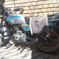 دايون • موديل 21 • أوراق أصلية