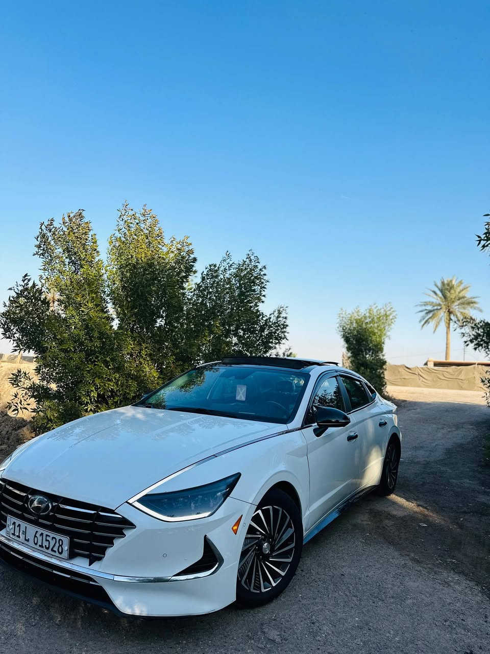 السلام عليكم
سوناتا 2022 هايبرد وارد امريكي رقم شاصي موجود حادثه كلش بسيط بدون ايرباكات 
-بصمة ابواب
-دخول ذكي 
-بصمة تشغيل 
-جنطه ذكيه
-لد نهاري 
-رادار 360 درجه 
-حساسات 
-توقف الي 
-اوتو هولد
-اربع انضمة قياده
-كير دكم
-نقطه عمياء
-قياده اليه
-تحديد مسار 
-مؤشر طرق
-كشنات كهرباء
-كشنات تدفئه
-سايد بريك بصمه
-محرك 2.5 
السعر 175$ وبيه مجال بسيط
كير ومحرك كفاله برغي ممفتوح بيهم 
السياره جاهزه كير ومحرك وحداديه وتخم تاير وتدفئه وتبريد وشرط الفحص
السياره حلوه وناصبه وبالعافيه على الي ياخذها 💜
عنواني بابل

*********** 
*********** ***********
