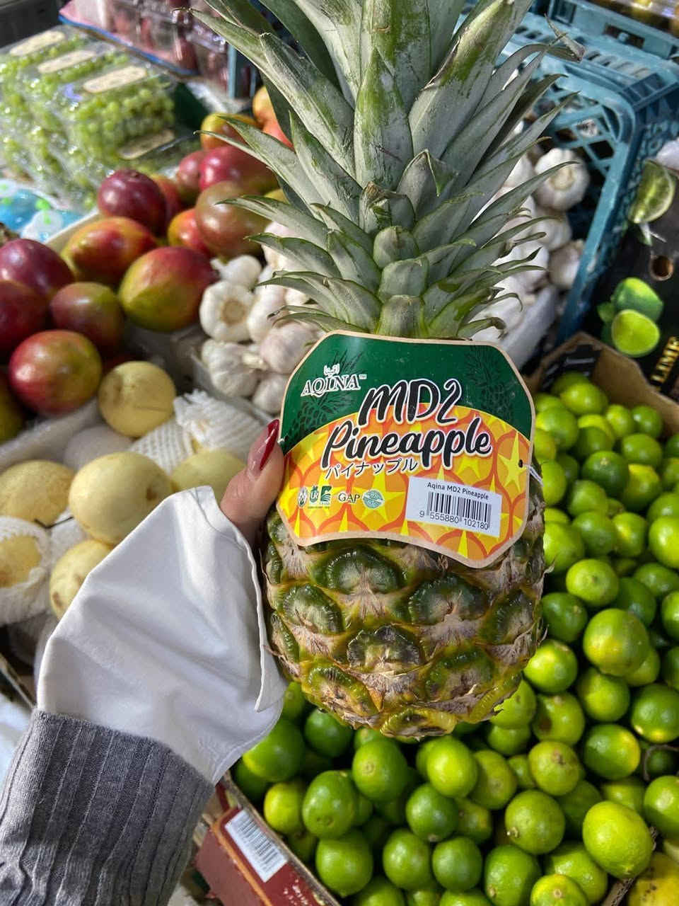 🌟 عروض علوة الجود 🌟
📍 عالم النظافة والترتيب
✨ تميز ومصداقية… توزن بيدك ثم تحاسب ✨
بضاعة بلا منافس 🔥 رقم واحد لأصحاب الذوق الرفيع
📅 اليوم الأربعاء 4/3/2026
🔥🔥🔥🔥🔥
🐔 عروض الدجاج
دجاج عراقي محلي حي ك 4000
أفخاذ دجاج ك 6000
صدر دجاج ك 6000
أجنحة دجاج ك 6000
كبدة صافية ك 6500
رقبة دجاج ك 2000
💚 دجاج عراقي محلي نظافة رقم واحد… والتجربة تثبت ما نقول
🍎🍊 الخضار والفواكه اليومية
🍊 فواكه بأسعار مميزة
🍊 فواكه بأسعار مميزة
برتقال 1000
لالنكي 1000
تفاح أحمر 1000
تفاح أصفر 1000
موز 1250
فراولة 1000
منكة مصرية 2500
بطاطا 750
بطاطا الجزيرة 1000
باقلاء مفلسة 3000
لهانة 500
شونذر 500
شلغم 250
🥦 خضار طازجة يومياً
فطر علبة 2000
فطر 6000
باذنجان عراقي درجة أولى 1500
بصل بارد فول 1000
بصل كرستال فول 1000
خيار عراقي 1250
طماطة عراقية 1000
فلفل بارد 1250
بصل حار 1000
لهانة بيضاء 500
لهانة حمراء 500
شجر عراقي فول 1250
بطاطا سورية كمندوا 1000
بطاطا عراقية 3ك بـ 2000
جزر أفريقي فول 1000
فلفل يمني ألوان 3500
ذرة جاهزة قطعة 1000
بروكلي أفريقي فول 3500
🥬 باقي الخضار
باقلاء خضرة 1250
باقلاء مفلسة قبرصية كيس 2500
باقلاء مفلسة وجهين الكيس 5000
اسكلة أربيل فول 1250
فاصوليا عراقية 2000
قرنابيط تركي فول 1000
خس عراقي فول 1250
خس صيني فول 1500
خس أمريكي فول 2000
طماطة لبنانية فول 1250
زنجبيل أفريقي 6000
سلك باقة دبل 1000
سبانغ 1500
🍉🍈 فواكه موسمية
تمر بريم حر ك 4000
تمر زهدي رطب ك 2000
رطب برحي علبة 4000
ركي يمني ك 1250
بطيخ مصري عسل ك 2000
بطاطا أفريقية حلوة 5000
رطب مكتوم سطل 3500
زنجبيل طازج 5000
طرشي أربيل علبة ك 3000
#قائمة_أسعار_الفواكه 🍓🍇
موز إكس البانه 1000
برتقال لبناني الريان 1500
تفاح لبناني أصفر 1500
تفاح لبناني أحمر 1500
كيوي 1500
تفاح إيطالي أحمر زيتي 2000
تفاح عراقي كاغدي عسل 1500
رمان مصري 1500
رمان سوري 2000
رمان أفريقي 3000
ليمون أخضر سليمانية 2000
ليمون أفريقي كلاص وان 3000
تفاح سكري أثيوبي 3000
خوخ مسكي عسلي 5000
عرموط عسلي 2500
فراولة 4000
عنب ملكي يمني 3000
عنب لبناني حلواني 3000
تين أسود لبناني 3000
أفوكادو لبناني 5000
فاكهة التنين الأمريكي 5000
فيساليس علبة 2000
تين شوكي أفريقي 3000
🌟 علوة الجود
🔹 تميز ومصداقية
🔹 توزن بيدك ثم تحاسب
🔹 بضاعة مرتبة ونظافة عالية
📲 للحجز والاستفسار واتساب فقط: ***********
🚚 خدمة التوصيل 1500
📍 إشارة الأصدقاء… وخليهم يستفادون من أقوى العروض 💚
