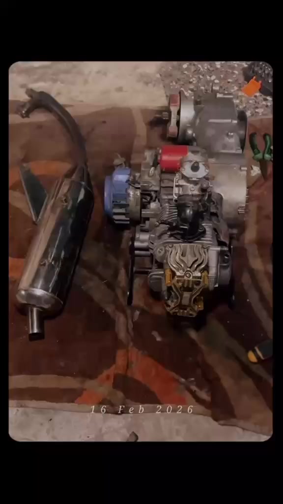 السلام عليكم ماكس عدله مزوده 58 نكره سلف لاتنقيص ولا تبخير كور اربع ولفات كلجات رياضي كوسو صدر رياضي صالنصه اربعه ولف دبل خلفي قزم يدات كوسو وعضمه ان سي واي كابريتر قفاز بيها كم نقوصات بسيطه الاستفسار واتس ***********.   الاتصال ‭+٩٦٤ ٧٨٨ ٦٥٤ ٦٩٤٤‬
