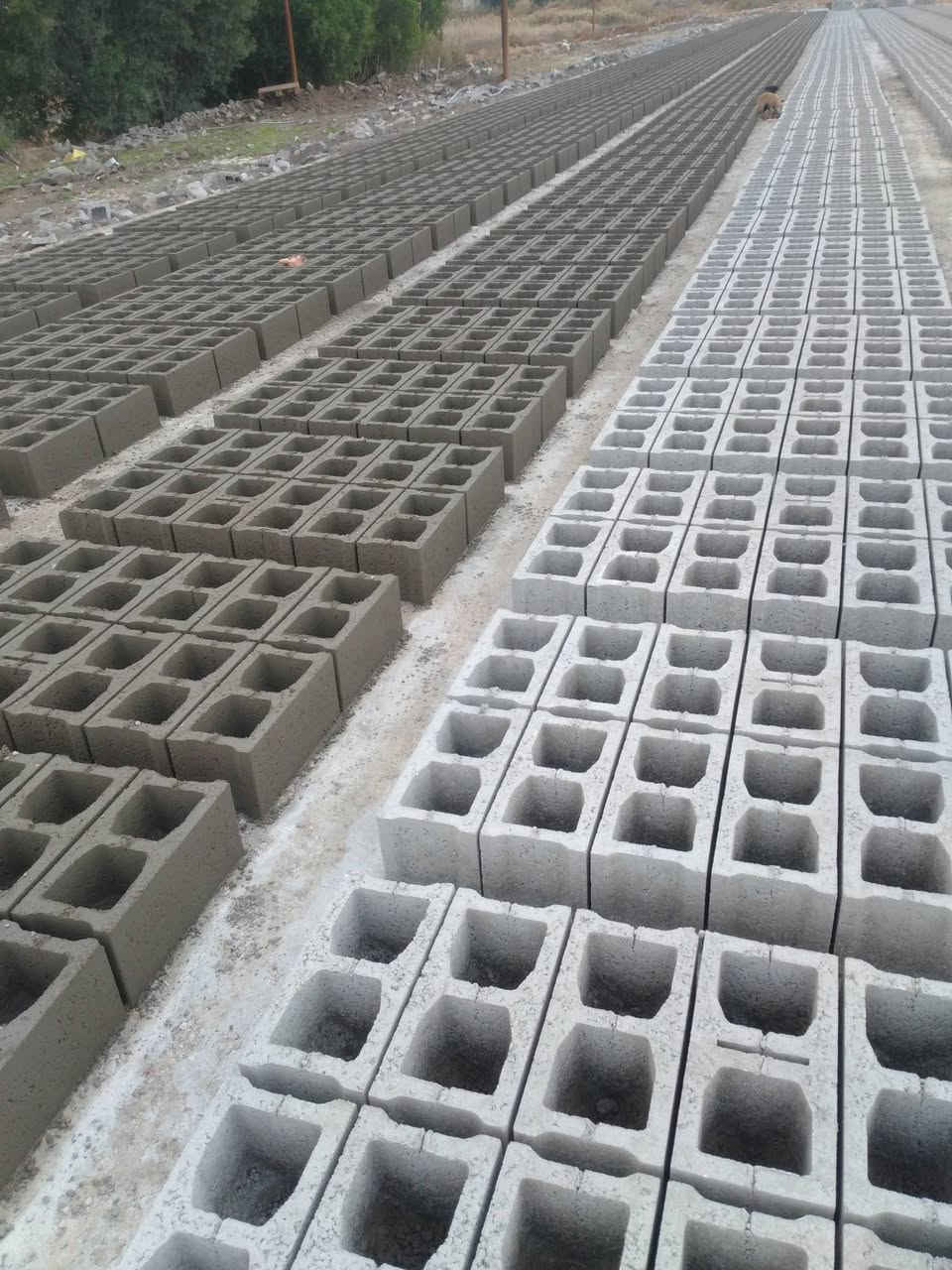 معمل شيخ سعد للبلوك الكهربائي 

السلام عليكم ورحمة الله وبركاته
كما عودناكم على انتاجنا المتطور من اجود انواع البلوك الشمال الكهربائي

وباسعار مناسبه ومنافسه الف مطروح بل معمل ٤٠٠
علما يوجد توصيل لجميع اقضية ونواحي 
لتواصل اتصل ***********/ ***********
