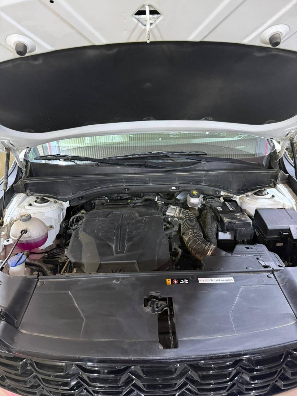 سلام عليكم سورنتو 2025 خليجي رقم بابل كفاله عامه مكاني بابل سعر (٣٢٥)وبيه مجال للطيبين ***********؟***********
