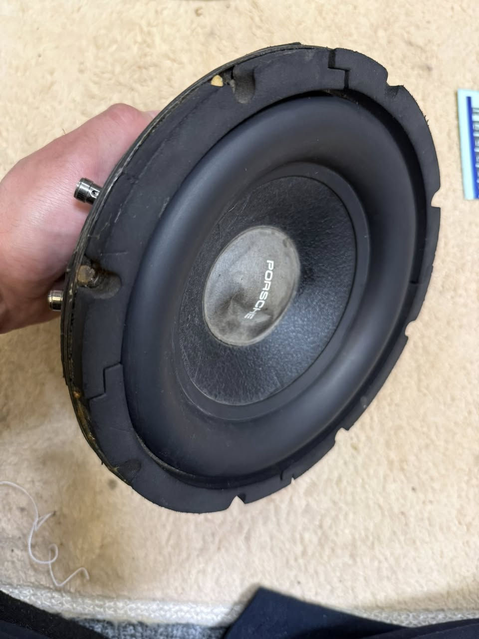 متوفر سماعات تفصيخ اصلي تشكيله💀🔊
يتوفر سماعات تفصيخ اصلي دائري حجم 6انج  و4انج ودمام 8انج

جميع الماركات الاصليه ونظافه 100‎%‎💀🔊🔊

تفاصيل اكثر بل صور وفيديو يوجد توصيل لكافة المحافظات☠️🔊


**إذا كنت صاحب هذا الإعلان وتريد حذفه لأي سبب، رجاءا أرسل رسالة إلى الدعم الفني**