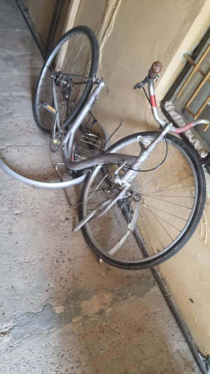 سلام عليكم بايسكلا لبيع نضيف بس الشه طاكه كالم السعر ٣٥ وبي مجال
مكان فلوجه حي العلمين


**إذا كنت صاحب هذا الإعلان وتريد حذفه لأي سبب، رجاءا أرسل رسالة إلى الدعم الفني**