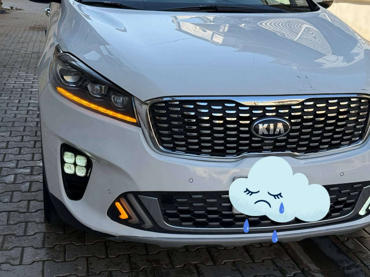 السلام عليكم
سورنتوخليجي 2019

فول معدةالفتحه 

ستة ستندرسبعة راكب

تبريد٣قطع

كفالةمن الضربةوالصبغ

بيهةبارد٤اصابع

صدرتبريدمكينه كلهةكفالة

علاوضع الشركةرقم بغداد

تحويل ٢يوم

بصمة

كشنات كهرباء

بردات بل ابواب جنطةكهرباء

لايت زنون غيرمتواجد ع فيس

***********
