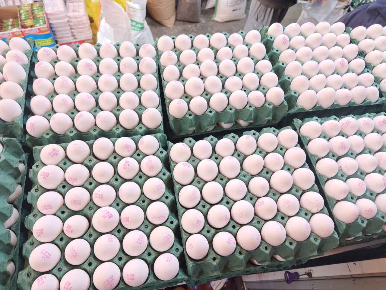 السلام عليكم زبائننا الكرام 
تم وصول بيض عراقي إنتاج جديد سعر الطبقه#_4000 
#_عروض_رمضان_ماتخلص_
الفرع الأول #محلات_المشعان_مقابل_كماليات_العائله
الفرع الثاني 
#مجمع_المشعان_وسط_السايدين
للإستفسار الاتصال ***********
