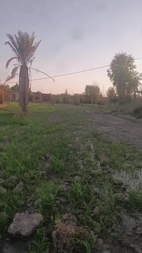 اللهم صلي على محمد وال محمد
السلام عليكم دونم للبيع مخدوم وكامل ماء وكهرباء وجار العمل بل تبليط  ركن عل شارع مباشر وبي غرفه وصحيات طابو طابو 25باسمي تحويل مباشررر في كربلاء قضاء الحر منطقه الرشديه عل نهر الرشديه مباشر مسج كامل للستفسار الاتصال ***********
