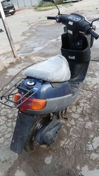 بطة • جديدة • فول