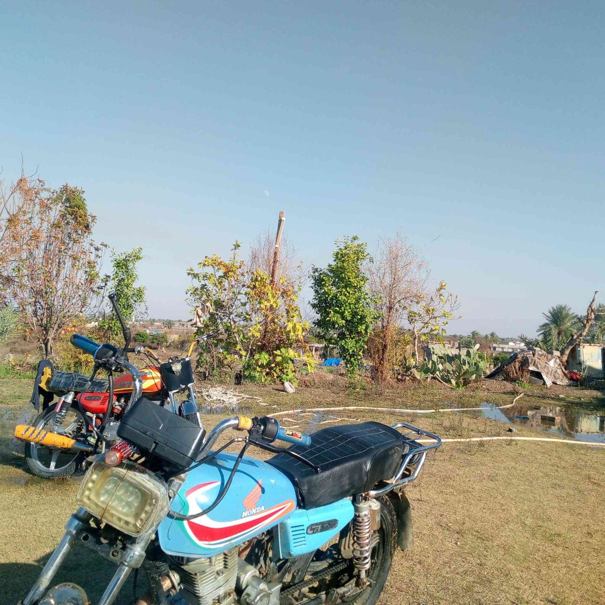 السلام عليكم ايراني جني5 كير محرك كير لا تنقيص لا تبخير نشاط فول للبيع او مراوس بايفوان عادي
عايزه ترتيب شي قليل السعر 280 وبي مجال 
للاستفسار ***********
