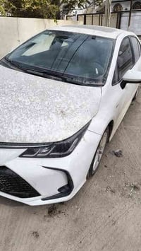 اللهم صلي ع محمد وال محمد كورلا هايبرد موديل 25  شكل خليجي  ماشيه 6 ال...