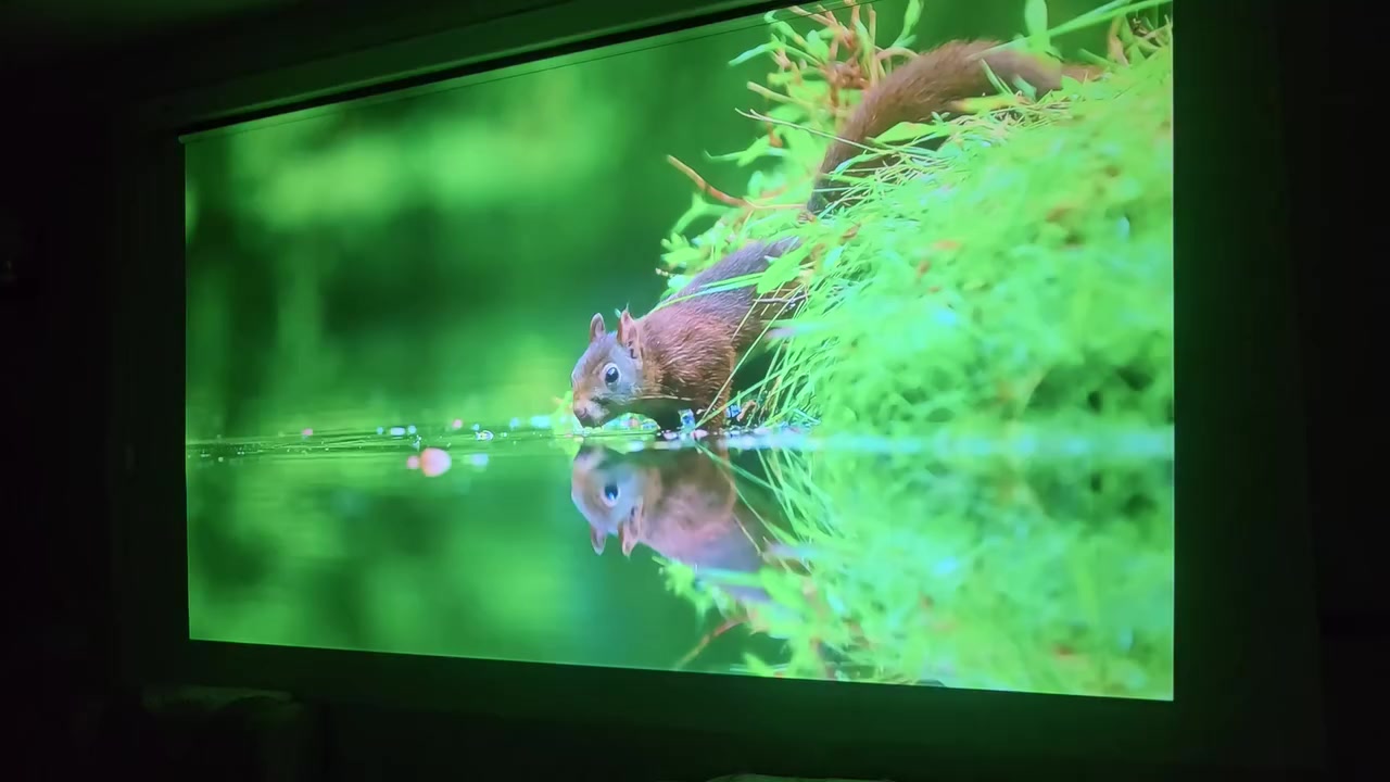 اقوه اجهزه الداتا شو💯
TOPTRO x6 
عرض لفتره محدوده 🔥💯
دقه عاليه يدعم 4k
تنفع المدرسين والقاعات والمواكب ومشاهده المباريات والافلام 🚀⚽
اضاءه عاليه مع وضوح مع الضمان💯
حجم صوره يصل الى 6 متر
اوتو فوكس🔥
يربط جميع الموبايلات  ( ايفون - كلاكسي )📱
اجهزه بنظام اندرويد فائق الجوده اصلي💎
استيراد اوربي🌍
جديد غير مستخدم🆕
للحجز والاستفسار واتس اب :📱

***********
